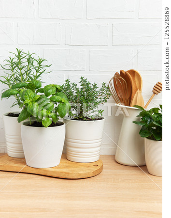 Fresh herbs growing in pots on kitchen countertop Fresh herbs growing in pots on kitchen countertop 125528869