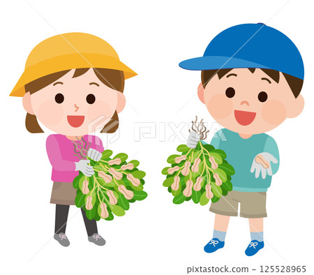 Boys and girls picking peanuts illustration 125528965