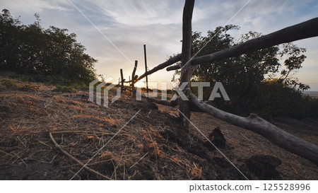 Old wooden fence separating fields in Crimea at sunset near Belogorsk Old wooden fence separating fields in Crimea at sunset near Belogorsk 125528996