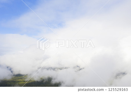 Aerial view clouds over the forest and lake. View from drone. Aerial top view cloudscape. Texture of clouds. View green forest from above covered with white clouds Aerial view clouds over the forest and lake. View from drone. Aerial top view cloudscape. Texture of clouds. View green forest from above covered with white clouds 125529163