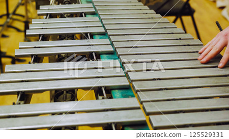A young guy playing the vibraphone at a music school. A young guy playing the vibraphone at a music school. 125529331
