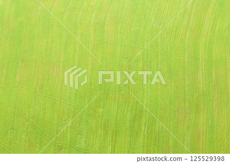 Aerial view of agricultural green field. Plowed agricultural field. Aerial view. Agricultural land. Rural andscape top view. Aerial view of agricultural green field. Plowed agricultural field. Aerial view. Agricultural land. Rural andscape top view. 125529398