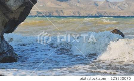 Powerful waves striking rocky crimean shoreline, mountainous terrain rising behind azure waters Powerful waves striking rocky crimean shoreline, mountainous terrain rising behind azure waters 125530070