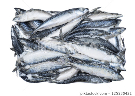 Frozen mackerel isolated. Frozen group of fish. Iced fish. Heap of mackere isolated on white background. Mackerel pattern. Mackerel texture. Fish background Frozen mackerel isolated. Frozen group of fish. Iced fish. Heap of mackere isolated on white background. Mackerel pattern. Mackerel texture. Fish background 125530421