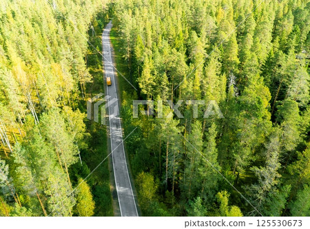 Aerial view of a country road in the forest with moving cars. Beautiful landscape. Captured from above with a drone. Aerial bird's eye road with car. Aerial top view forest. Texture of forest view 125530673