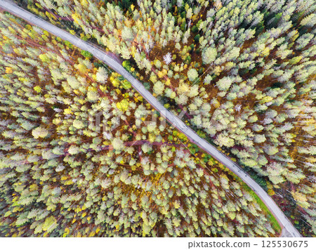Aerial view of a country road in the forest with moving cars. Beautiful landscape. Captured from above with a drone. Aerial bird's eye road with car. Aerial top view forest. Texture of forest view 125530675