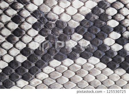 Structure natural snake skin pattern. Piton skin background. Python skin texture background. The texture of genuine leather snake skin. Snake texture background. Macro shot Structure natural snake skin pattern. Piton skin background. Python skin texture background. The texture of genuine leather snake skin. Snake texture background. Macro shot 125530725