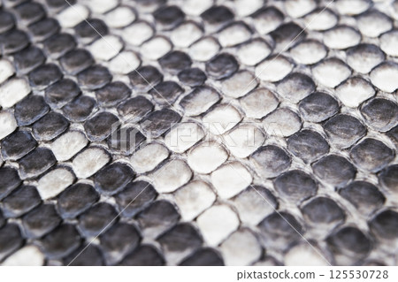 Structure natural snake skin pattern. Piton skin background. Python skin texture background. The texture of genuine leather snake skin. Snake texture background. Macro shot Structure natural snake skin pattern. Piton skin background. Python skin texture background. The texture of genuine leather snake skin. Snake texture background. Macro shot 125530728
