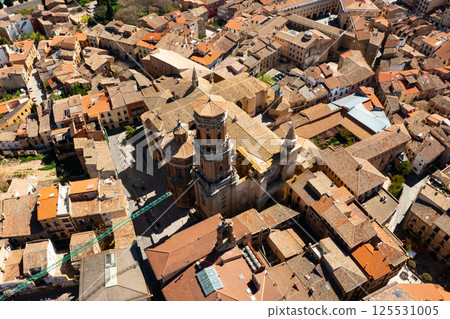 Aerial view of Cathedral of Saint Mary in historical center of Tudela 125531005