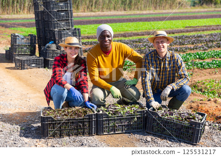 Multinational group of smiling farmers posing with crates at the farm field Multinational group of smiling farmers posing with crates at the farm field 125531217