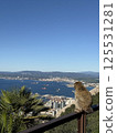 Gibraltar: View from The Rock and Monkeys 125531281