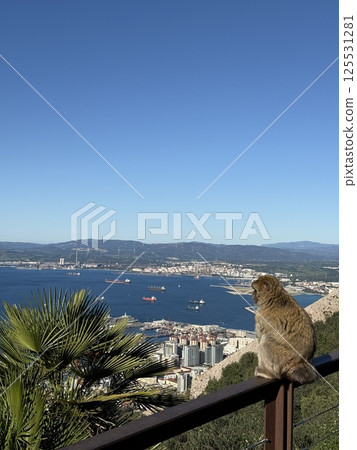 Gibraltar: View from The Rock and Monkeys Gibraltar: View from The Rock and Monkeys 125531281