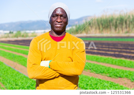 Male farmer posing on leaf vegetables field 125531366