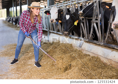 Young woman arranging hay for feeding cows on farm Young woman arranging hay for feeding cows on farm 125531424