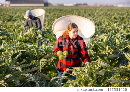 Girl harvesting artichokes on field 125531426