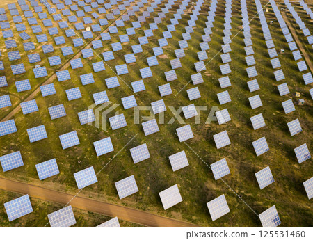 Photovoltaic solar panels at field, aerial photo 125531460