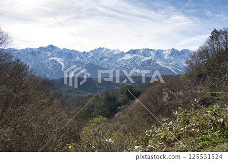 A view of the majestic Ushiro-Tateyama mountain range from Shirasawa Pass, Hakuba Village, Nagano Prefecture 125531524
