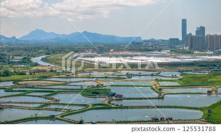 Tranquil Hoo Hok Wai wetland on April 20, 2025 Tranquil Hoo Hok Wai wetland on April 20, 2025 125531788