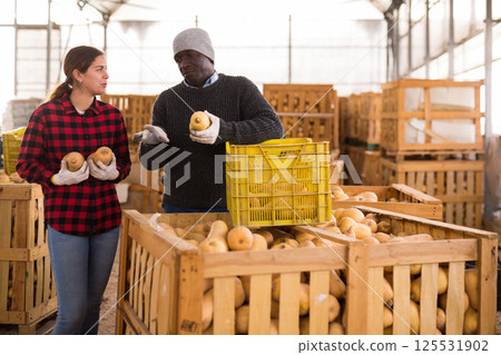 Man and young woman having conversation honeynut squashes crop in warehouse Man and young woman having conversation honeynut squashes crop in warehouse 125531902