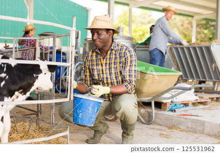 African american man with a bucket feeds a young calf 125531962