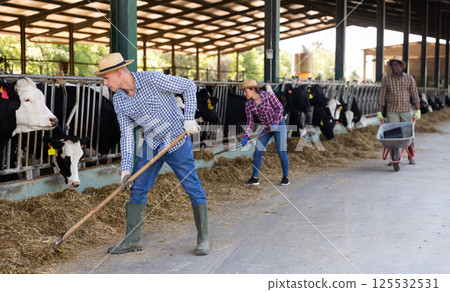 Male farmer working on dairy farm in cowshed Male farmer working on dairy farm in cowshed 125532531