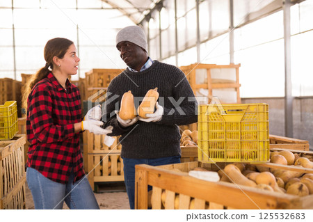 Man and woman farmers talking during stacking pumpkins Man and woman farmers talking during stacking pumpkins 125532683