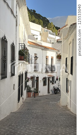 西班牙米哈斯白色村莊的街道 125533040