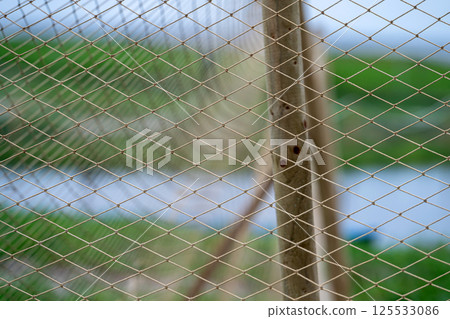 Close view of a fishing net supported by wooden posts near a tranquil waterway in a lush green landscape Close view of a fishing net supported by wooden posts near a tranquil waterway in a lush green landscape 125533086