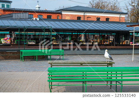 Seagull perched on a green bench in a quiet market square during a sunny afternoon Seagull perched on a green bench in a quiet market square during a sunny afternoon 125533140