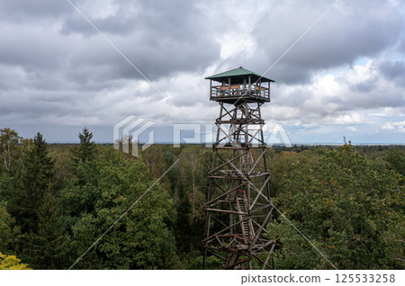 Elevated view of a wooden observation tower surrounded by dense forest under cloudy skies Elevated view of a wooden observation tower surrounded by dense forest under cloudy skies 125533258
