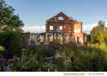 Ruins of an abandoned brick building surrounded by overgrown vegetation on a sunny day 125533263