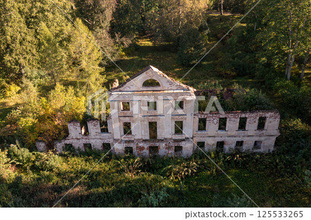 Ruins of an old building surrounded by lush vegetation in a rural landscape during daylight 125533265