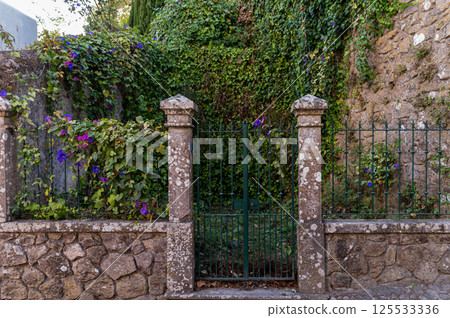 A charming stone gate adorned with vibrant flowers in a lush green setting 125533336