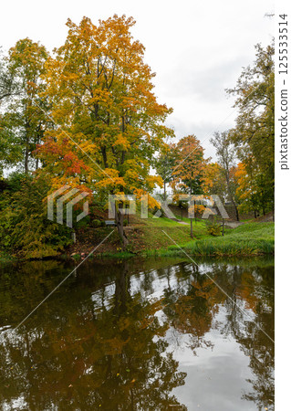 Autumn foliage reflects in a tranquil pond within a serene park setting Autumn foliage reflects in a tranquil pond within a serene park setting 125533514