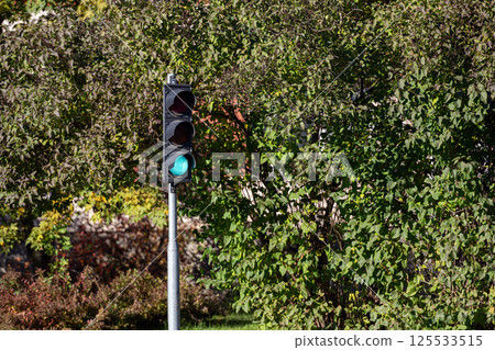 Green traffic light illuminated next to lush greenery in a suburban neighborhood Green traffic light illuminated next to lush greenery in a suburban neighborhood 125533515