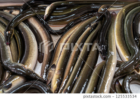 Eels displayed in a market showcasing fresh seafood in a traditional setting 125533534