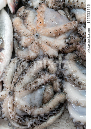 Fresh seafood display with octopus and fish on market counter in early morning Fresh seafood display with octopus and fish on market counter in early morning 125533536