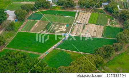 Kai Tak Sports Park recently hosted its inaugural community carnival April 20 2025 Kai Tak Sports Park recently hosted its inaugural community carnival April 20 2025 125533594