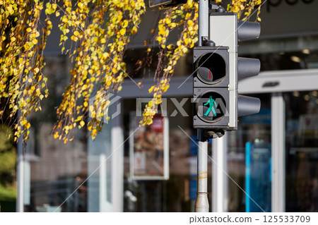 Green pedestrian signal illuminated at a street corner surrounded by autumn leaves Green pedestrian signal illuminated at a street corner surrounded by autumn leaves 125533709
