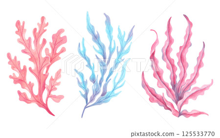 Pink, blue seaweed branch. Watercolor, marker illustration. Ocean botanical underwater algae. Hand drawn isolated art. Natural form of marine flora. For travel, cosmetology, children's design themes Pink, blue seaweed branch. Watercolor, marker illustration. Ocean botanical underwater algae. Hand drawn isolated art. Natural form of marine flora. For travel, cosmetology, children's design themes 125533770