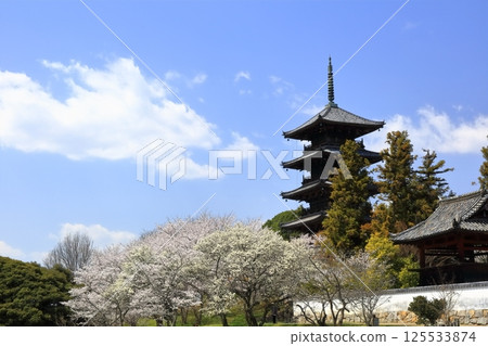 [Okayama Prefecture] Bicchukokubunji Temple in spring (cherry blossoms and five-story pagoda) 125533874