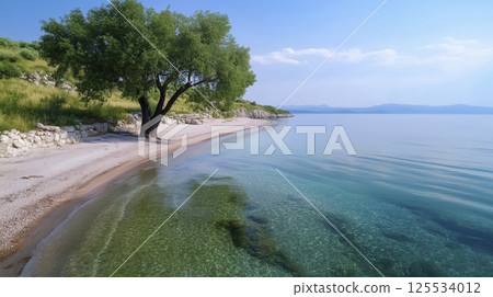 Serene sea or ocean Coastline with Crystal Clear Waters and Lush Greenery Serene sea or ocean Coastline with Crystal Clear Waters and Lush Greenery 125534012