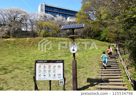 川崎市：生田綠地西口廣場、盛開的櫻花、專脩大學 125534798