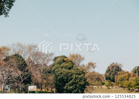 公園裡的大肥皂泡 公園裡的大肥皂泡 125534825