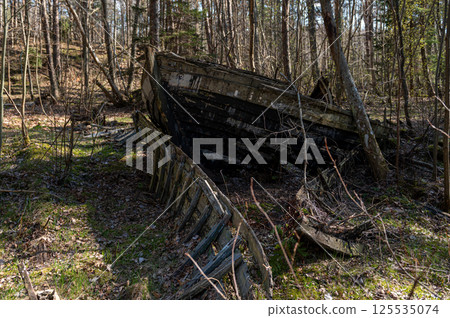 Old abandoned wooden fishing boat in the forest. Boats cemetery. 125535074