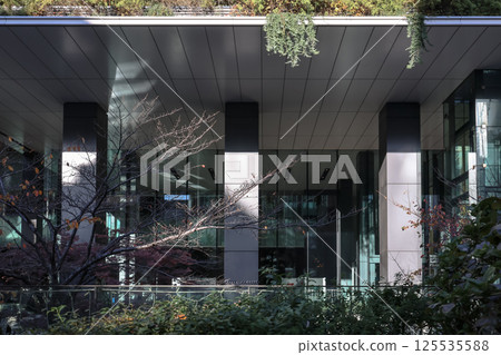 Modern Green Residential Building with Plants on Balconies, Japan Dec 10 2024 Modern Green Residential Building with Plants on Balconies, Japan Dec 10 2024 125535588