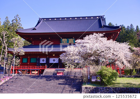 Nikko City Nikkozan Rinnoji Temple Sanbutsudo and Kongo Sakura in full bloom Nikko City Nikkozan Rinnoji Temple Sanbutsudo and Kongo Sakura in full bloom 125535672