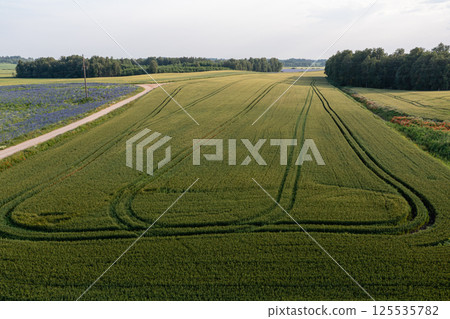 Aerial View of Lush Green Field Aerial View of Lush Green Field 125535782
