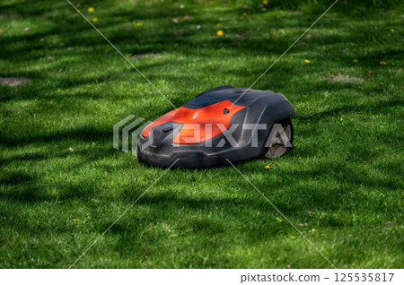 Autonomous Lawn Mower on Green Grass in a Sunny Park During the Day Autonomous Lawn Mower on Green Grass in a Sunny Park During the Day 125535817