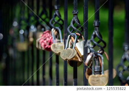 Heart-Shaped Padlocks on Iron Fence in Sunny Park During Daytime. Blurred background with copy space 125535822